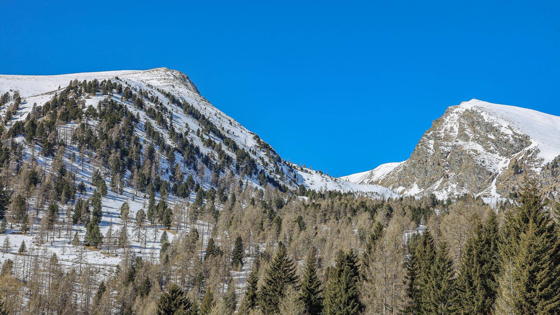 Zwei schneebedeckte Berggipfel dominieren die Landschaft, umgeben von dichten Nadelwäldern unter blauem Himmel.