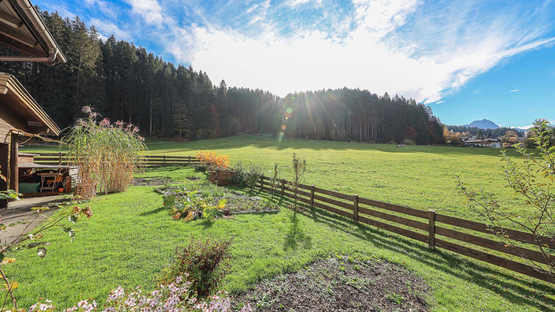 KITZIMMO-Baugrundstück in Alleinlage kaufen - Immobilien Kirchberg.