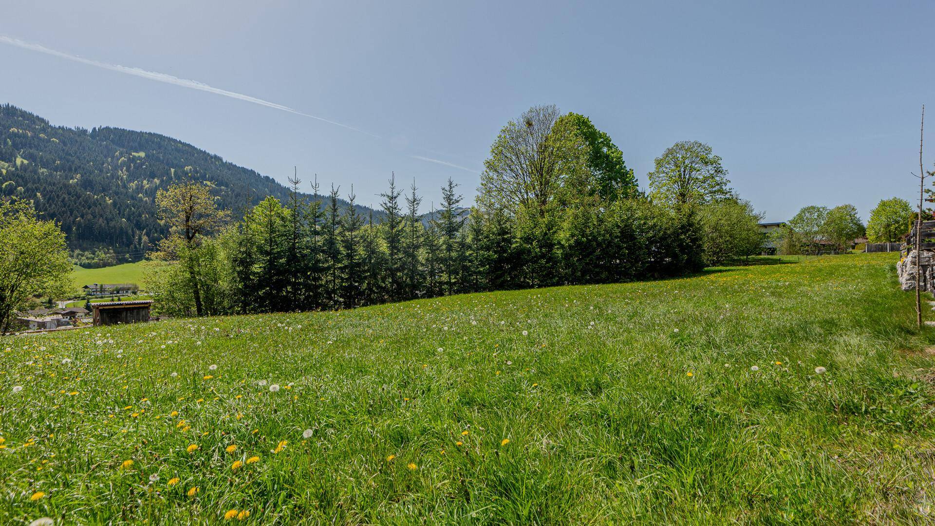 Weite, leicht hügelige Wiesenlandschaft mit vereinzelten Bäumen und bewaldeten Bergen unter blauem Himmel.