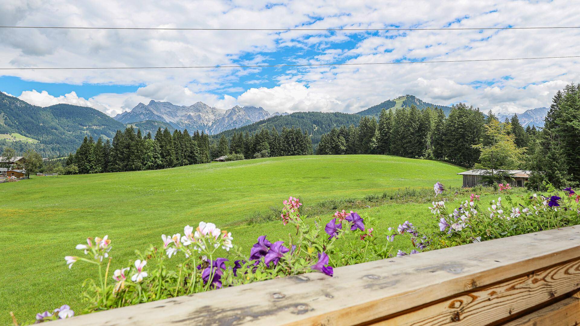Malerischer Ausblick vom Balkon auf grüne Wiesen und die umliegende Berglandschaft.