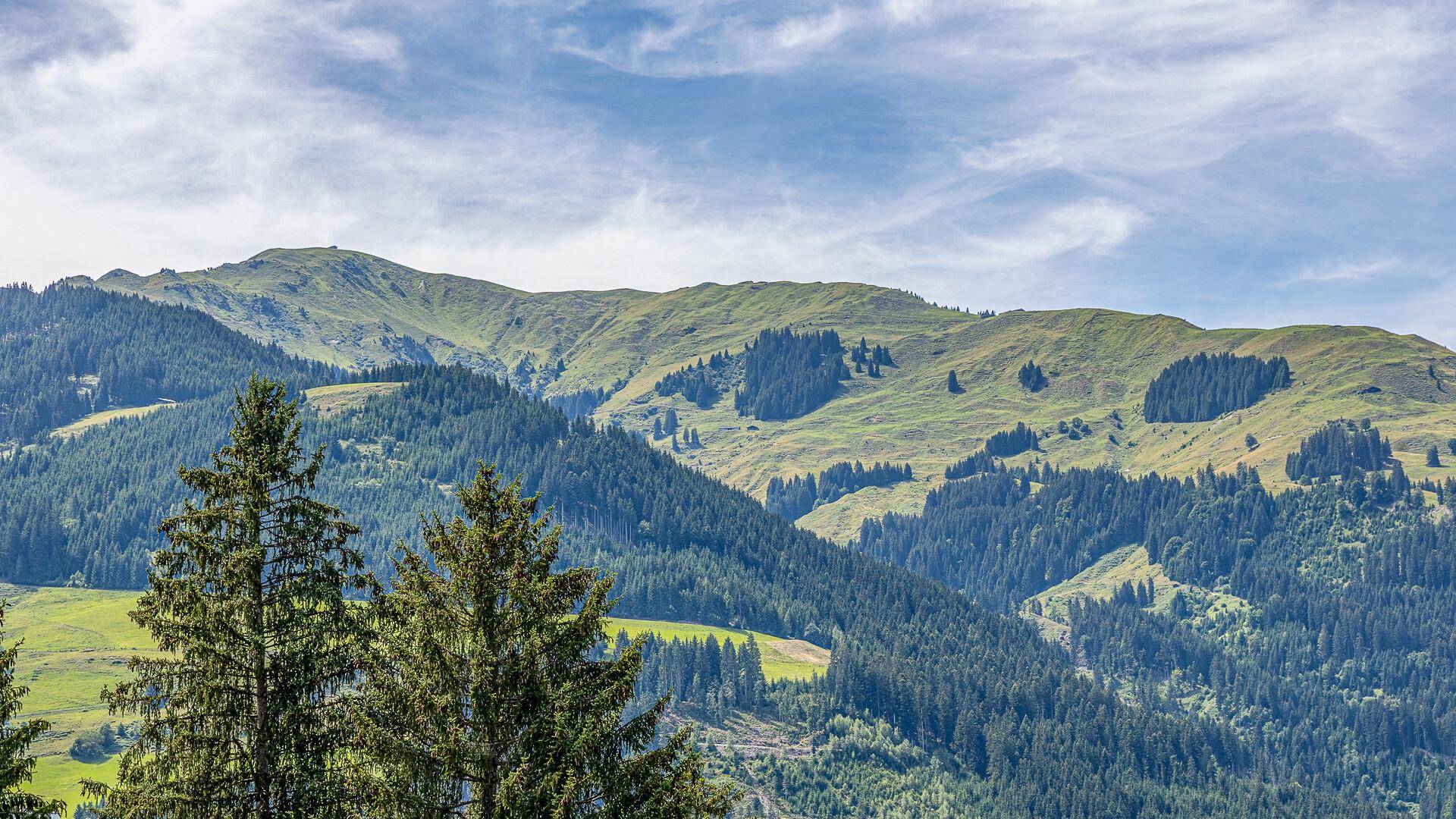 KITZIMMO-Luxusvilla in Toplage kaufen - Immobilien Aurach Kitzbühel.