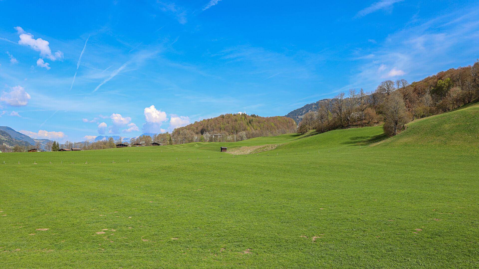 Weitläufige grüne Wiesen unter blauem Himmel mit bewaldeten Hügeln und Bergen im Hintergrund.