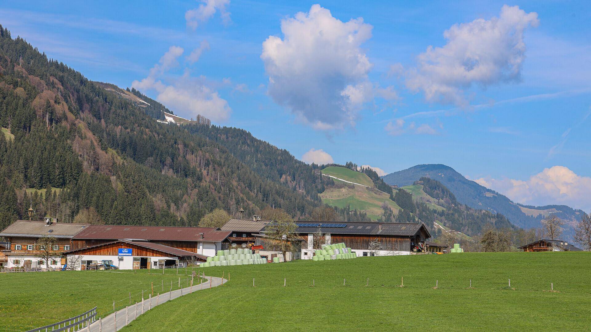 Ländliche Szene mit Bauernhöfen, grünen Wiesen und bewaldeten Bergen unter blauem Himmel.