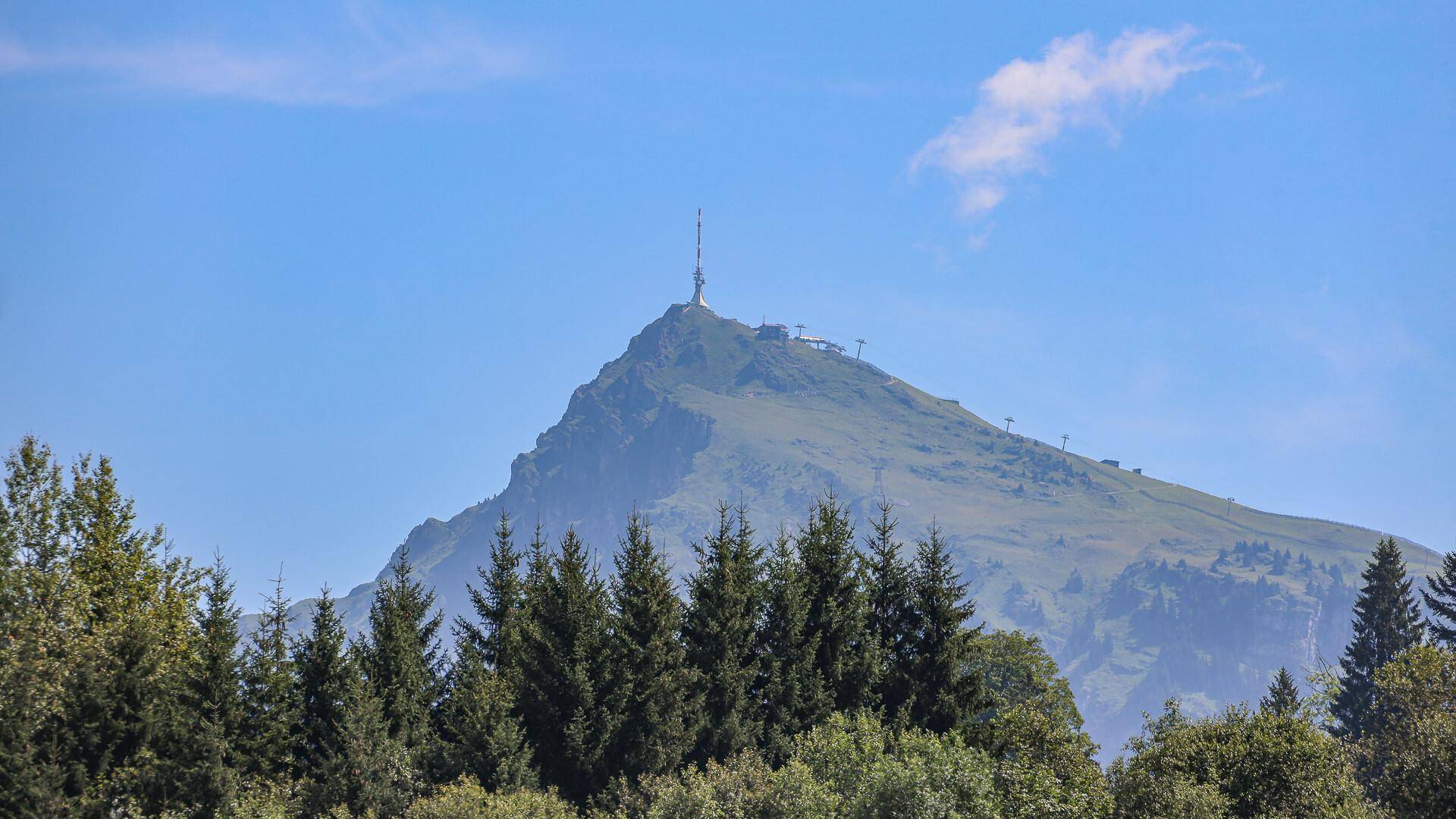 Weitläufige Berglandschaft mit bewaldeten Hängen und einem Gipfel mit Sendemast.