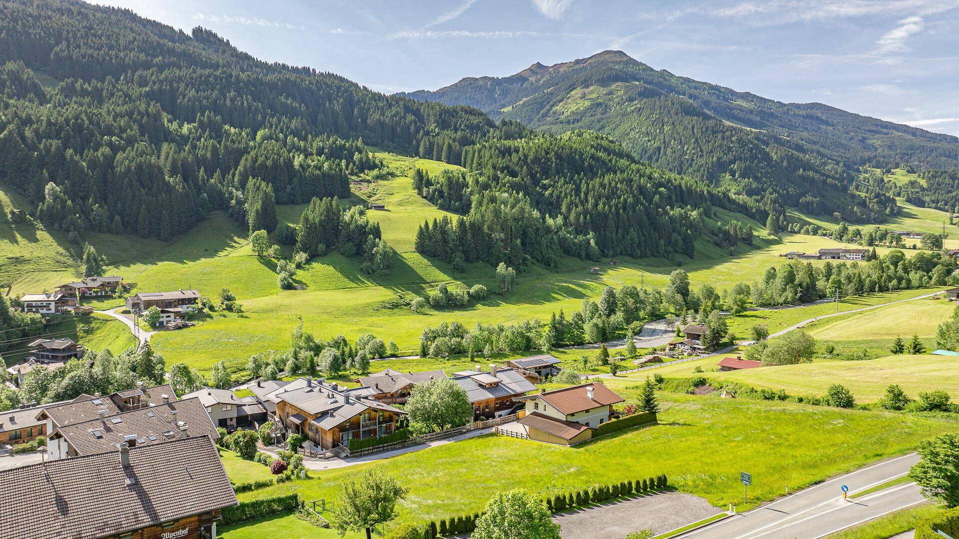Weitläufiger Panoramablick über ein grünes Tal mit Wäldern und einem majestätischen Berg unter blauem Himmel.