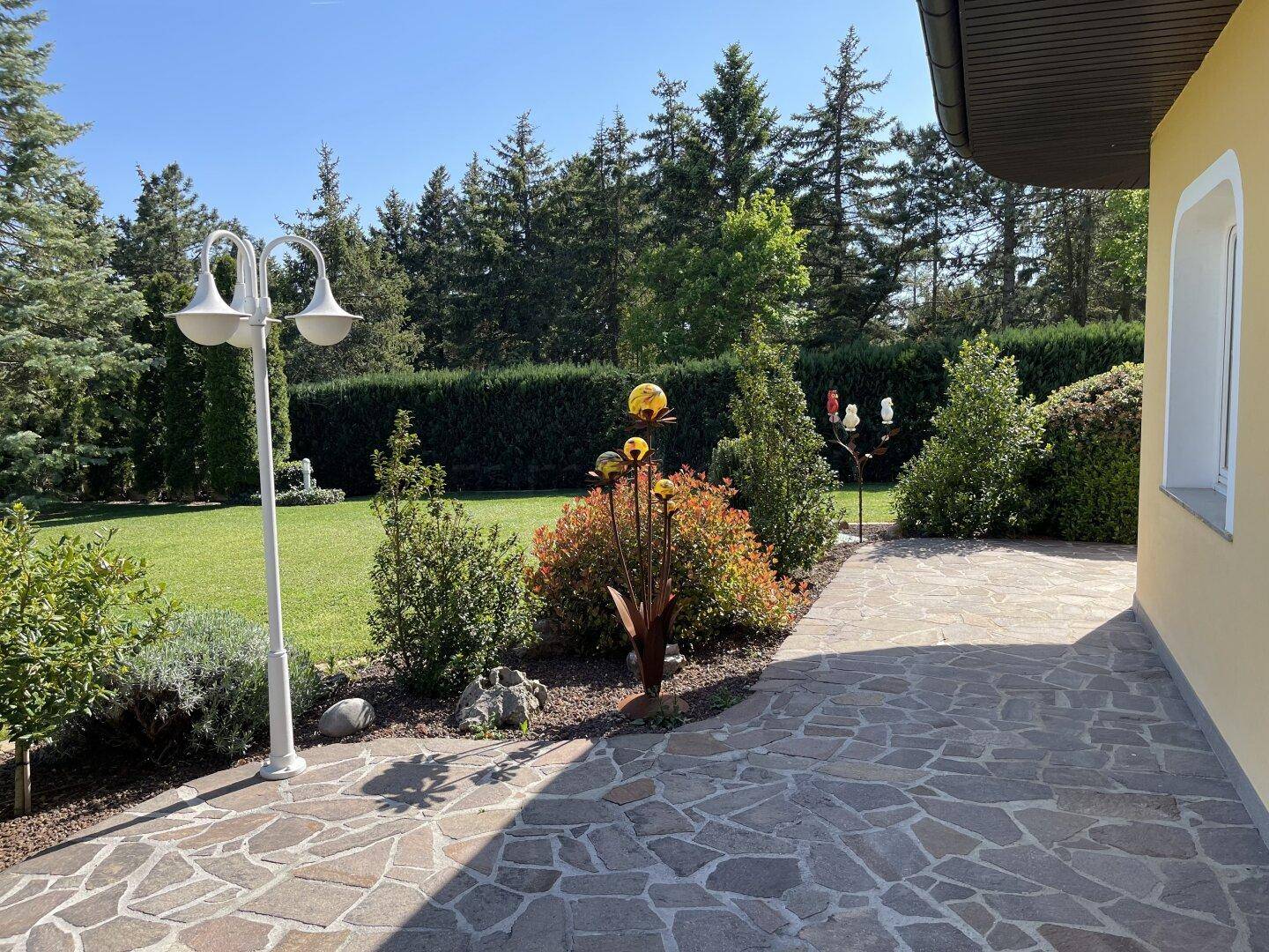 Sonniger Gartenbereich mit gepflasterter Terrasse, gepflegtem Rasen und hohen Bäumen.