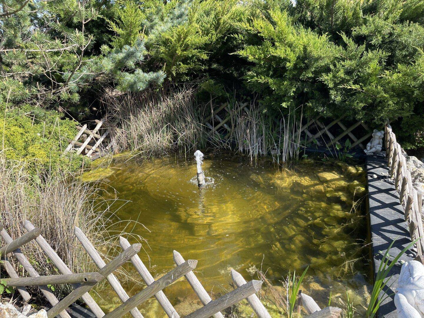 Kleiner Gartenteich mit sprudelndem Springbrunnen, umgeben von Schilf und Holzzaun.