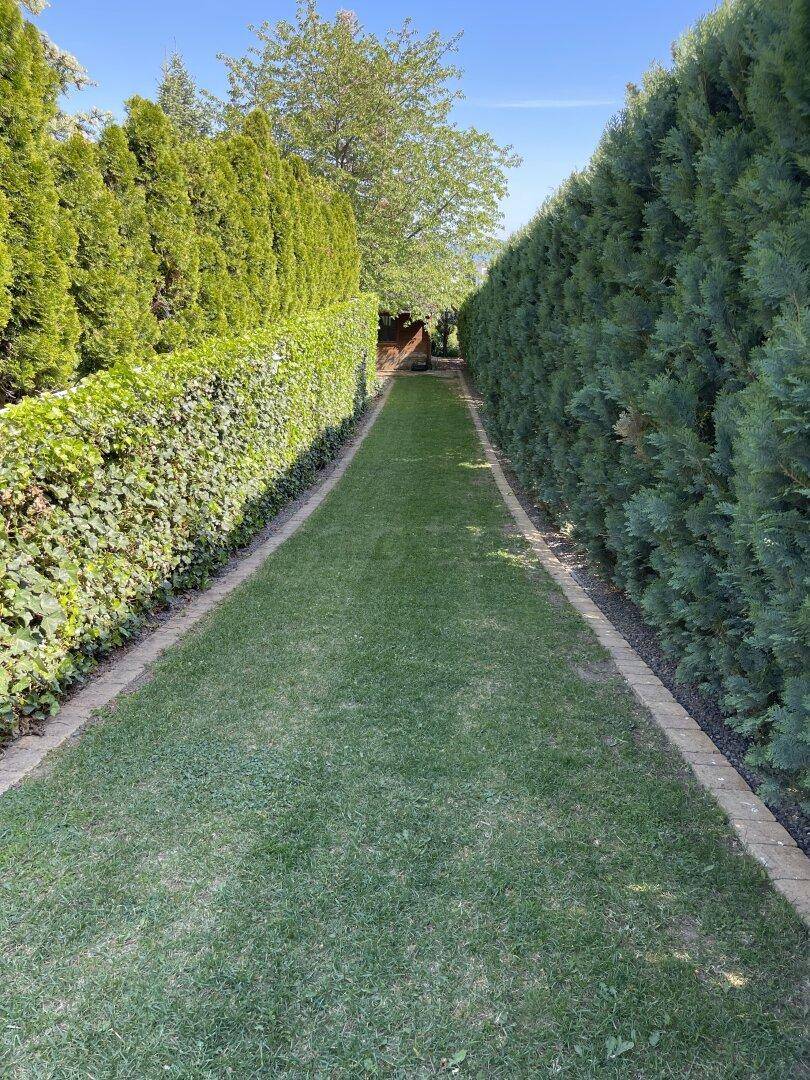 Langer, schmaler Rasenweg, gesäumt von hohen, dichten Hecken im Garten.