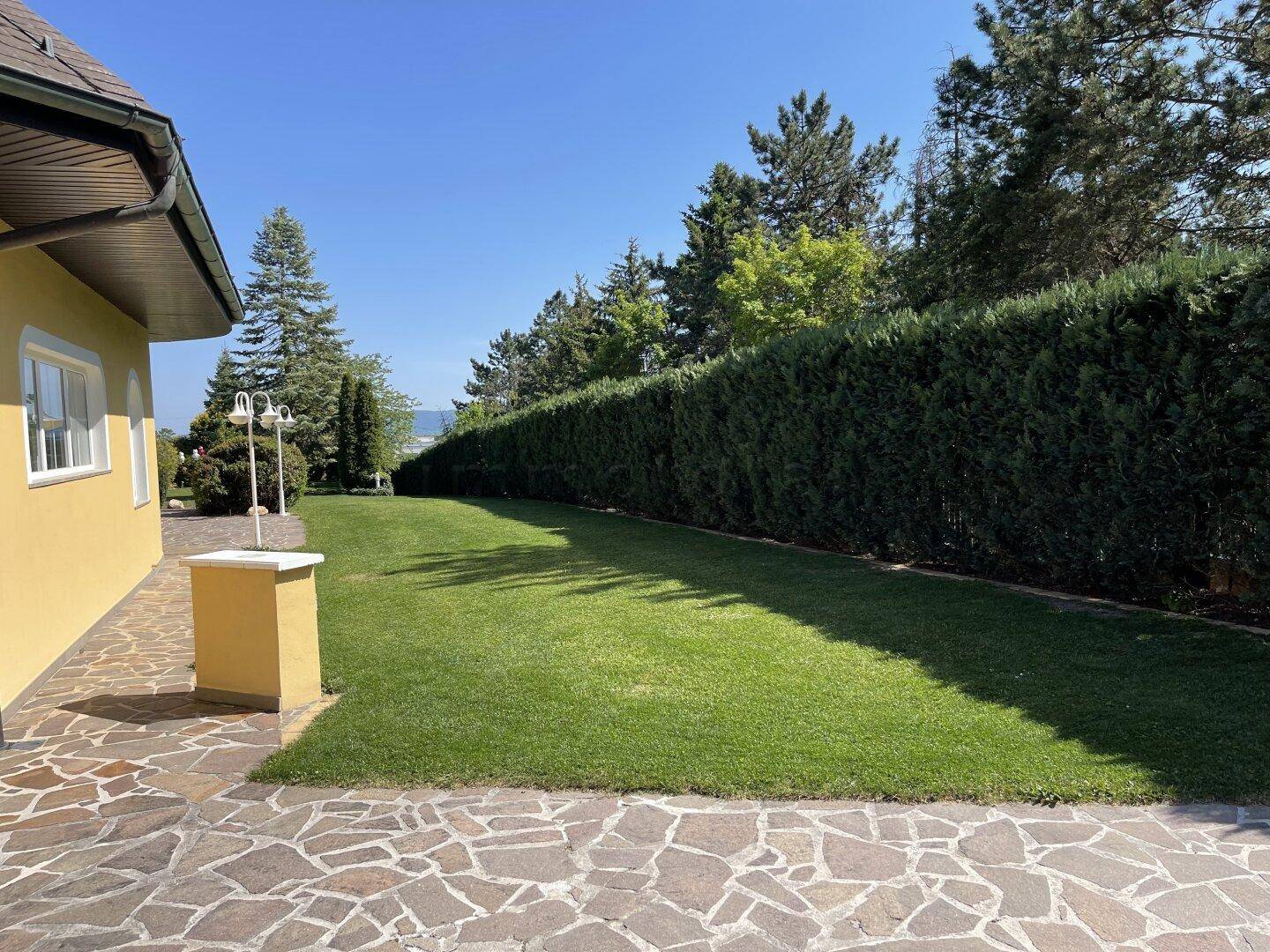 Großer, sonniger Rasenbereich neben dem Haus, begrenzt von einer langen, dichten Hecke.
