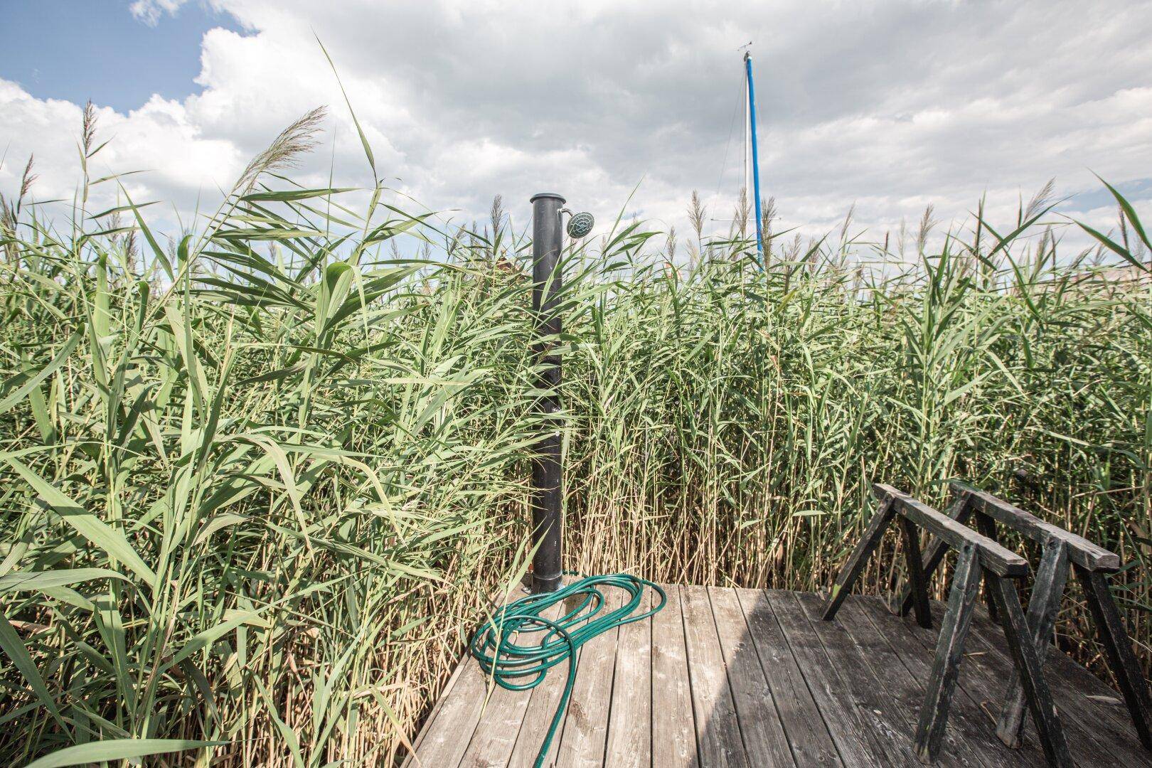 Außendusche auf einer Holzplattform, umgeben von hohem Schilf, unter freiem Himmel.