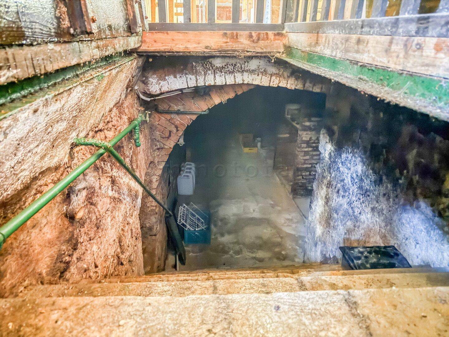 Alter Kellereingang mit gemauerten Wänden und steiler Steintreppe.