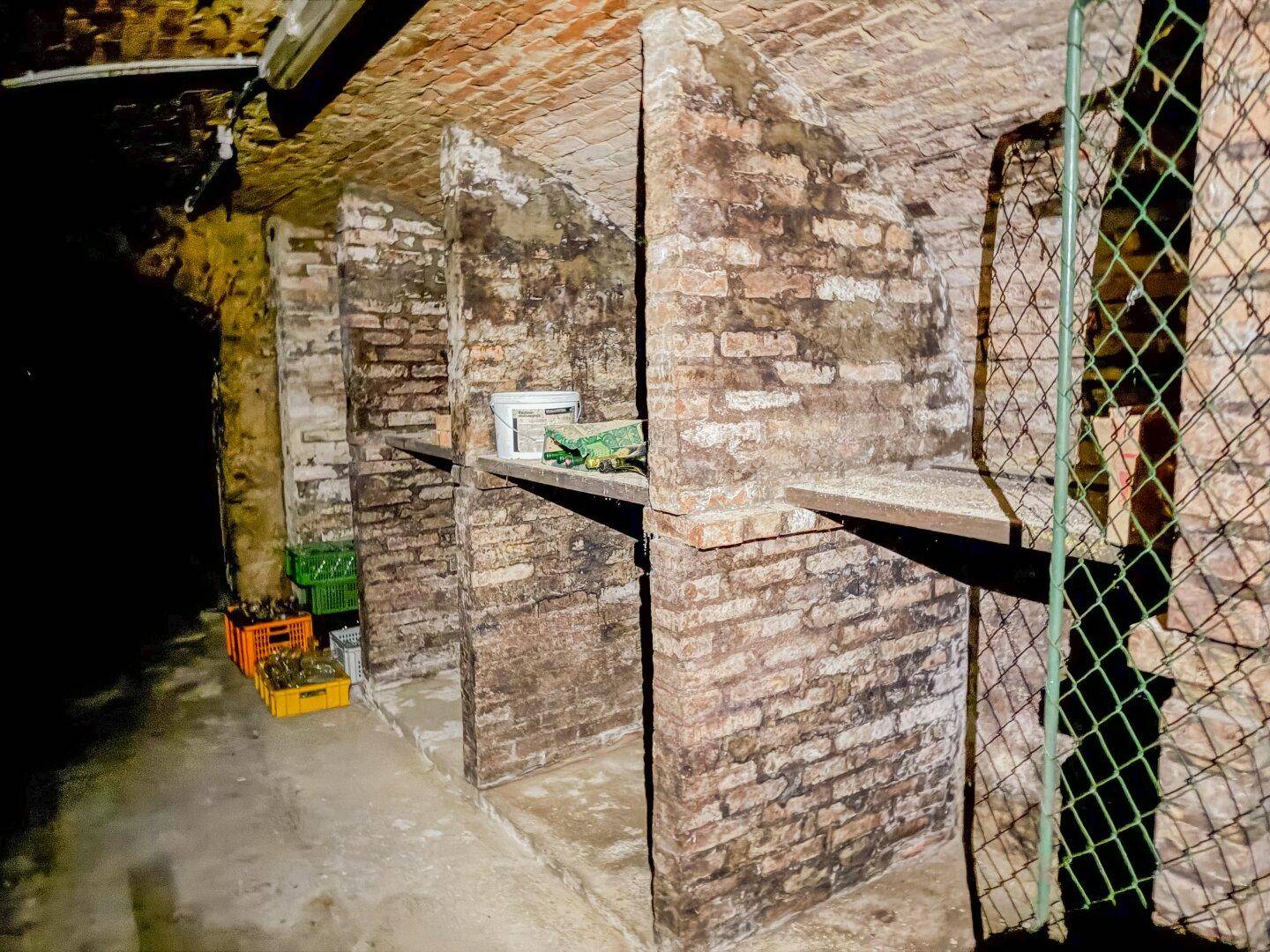 Historischer Ziegelkeller mit gemauerten Nischen und einfachen Holzregalen zur Lagerung.