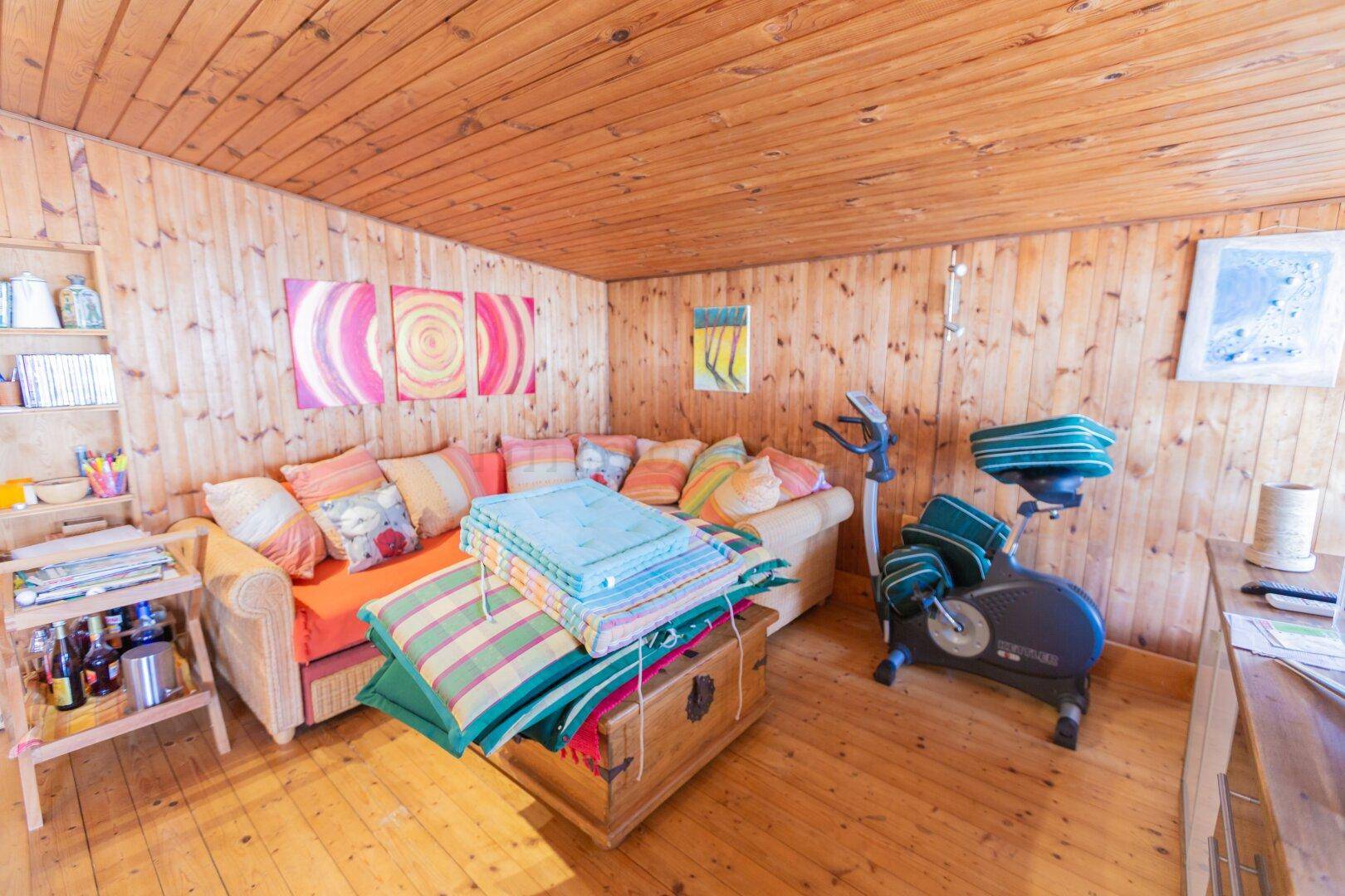 Wohnbereich mit Holztäfelung, Sofa, bunten Kissen und Heimtrainer.
