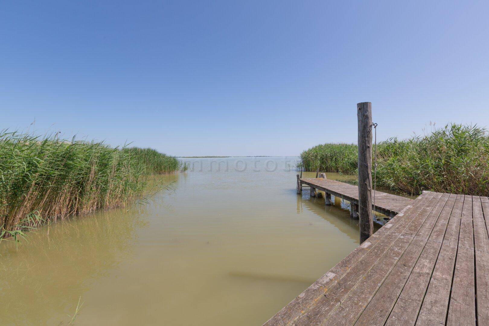 Langer Holzsteg führt durch Schilf zum offenen See unter klarem blauem Himmel.