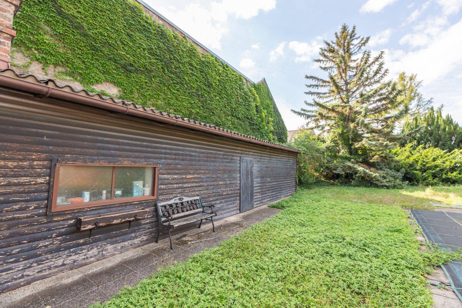 Rustikaler Holzschuppen mit einer Bank und einer von Efeu bewachsenen Hauswand im Gartenbereich.