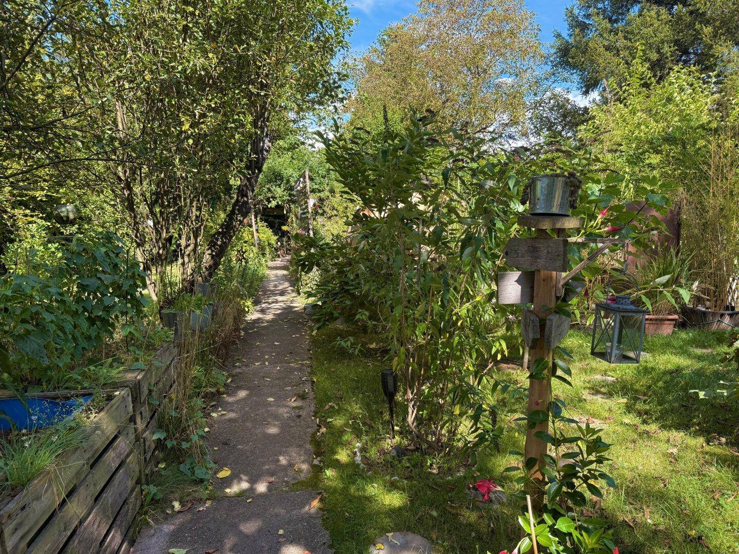 Ein schmaler Gartenweg schlängelt sich durch üppiges Grün mit Bäumen und Sträuchern an einem sonnigen Tag.