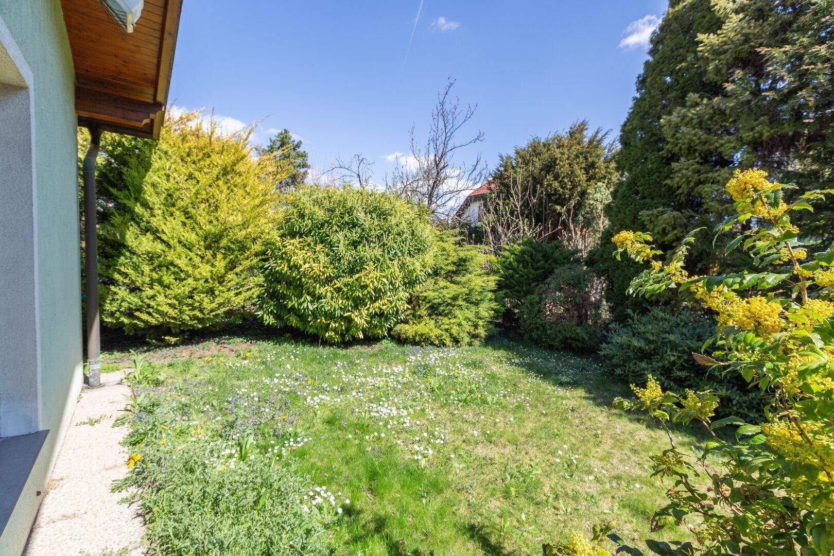 Gepflegter Gartenbereich mit Rasenfläche und blühenden Sträuchern.