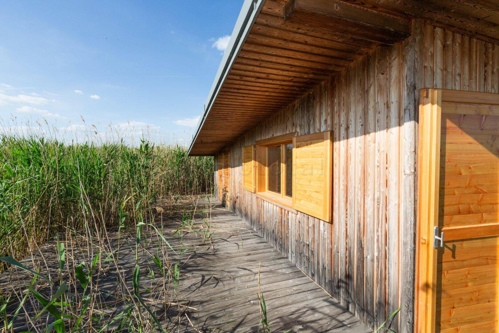 Seitenansicht des Holzhauses mit Holzfassade, Fenstern mit Fensterläden und umgebendem Schilf.