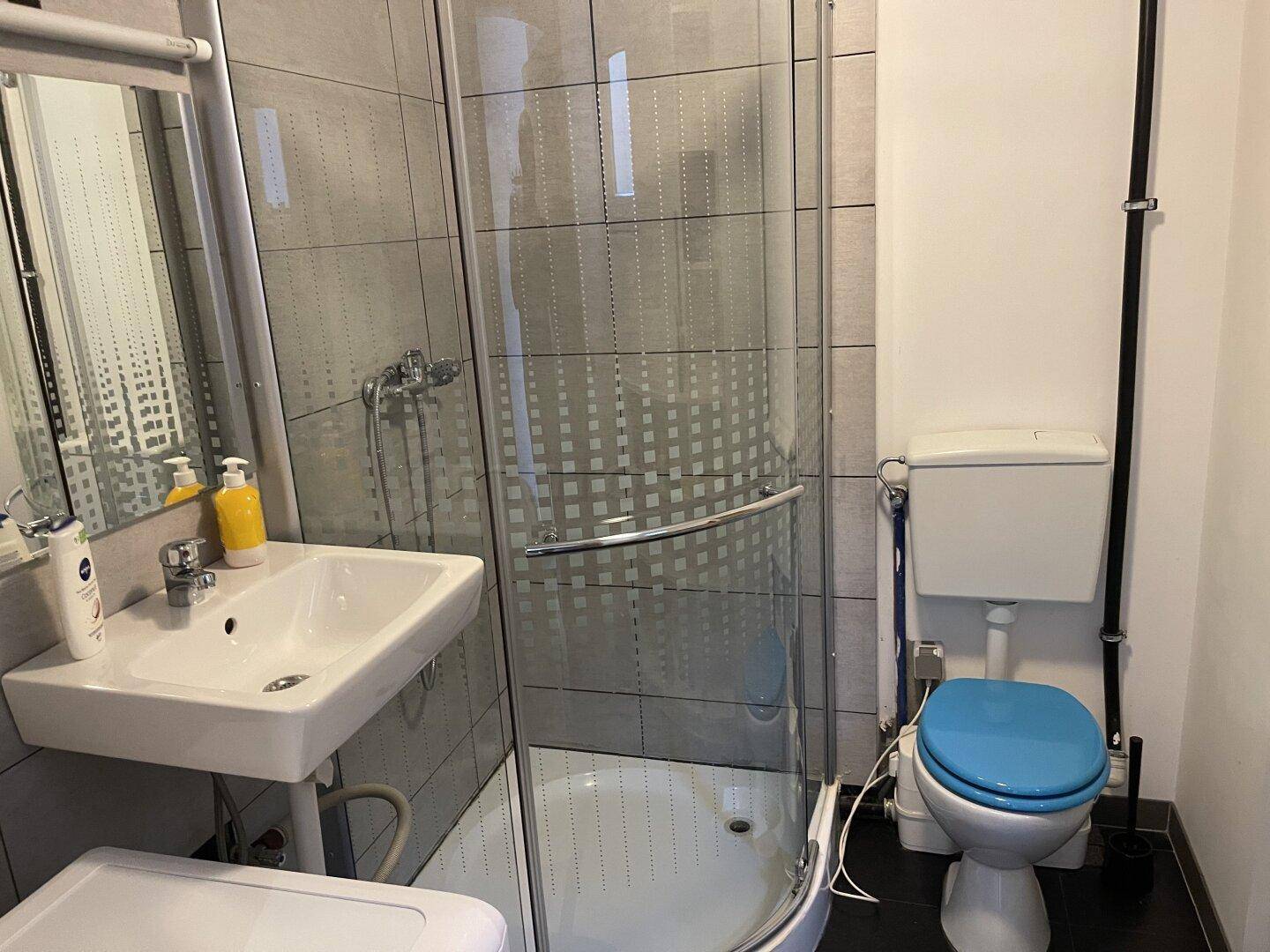 Kleines Badezimmer mit Dusche, Waschbecken und WC, funktional eingerichtet.