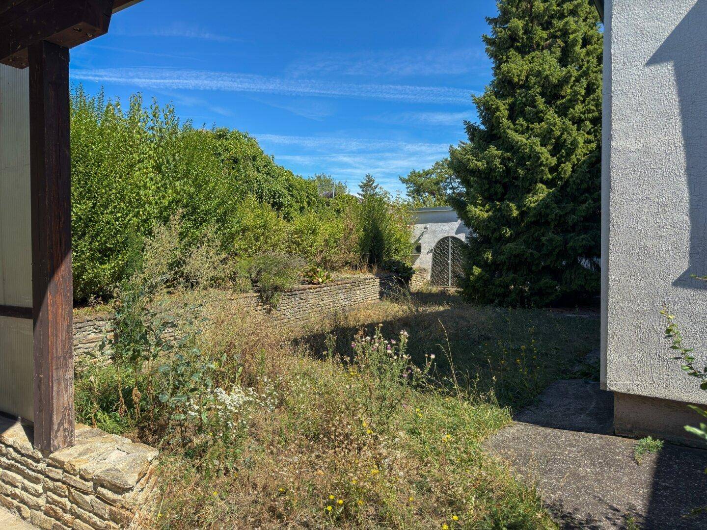 Überwachsener Gartenbereich mit Steinmauern und viel Grün, der auf Pflege wartet.