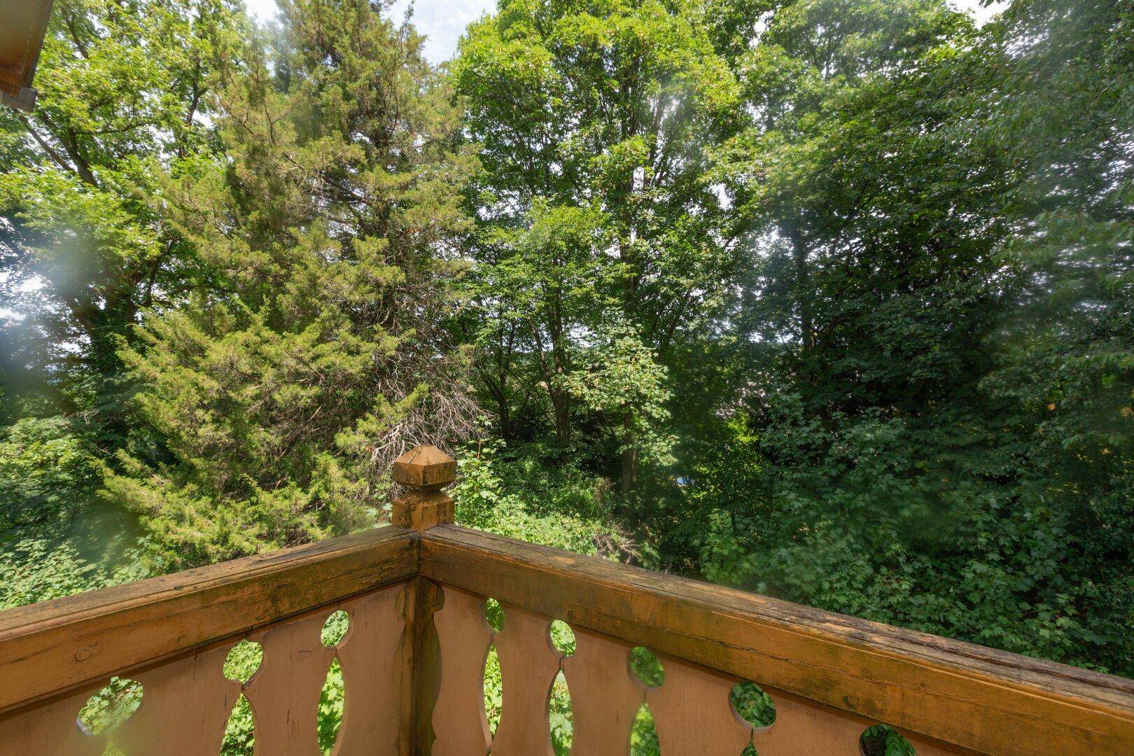 Holzbalkon mit Blick ins Grüne und üppiger Vegetation.