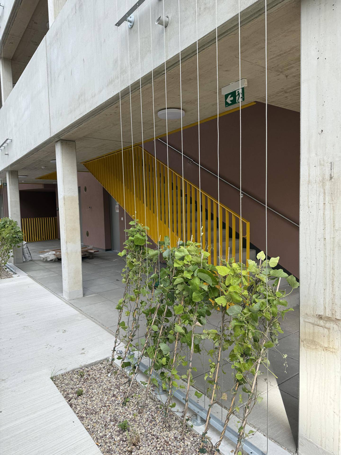 Slide 4