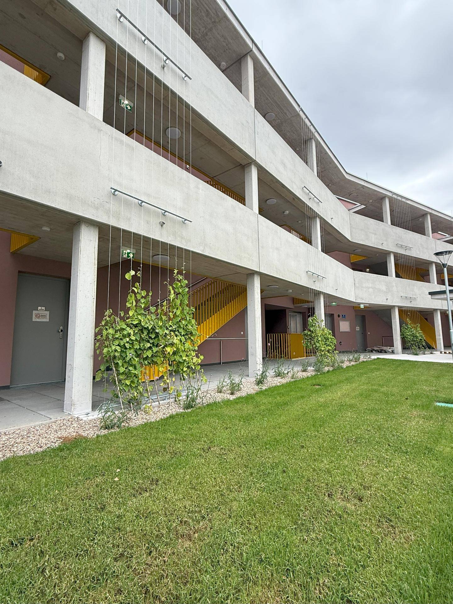 2-Zimmer-Wohnung mit Terrasse und Garten, Top 3, mit Kaufoption - Ansicht 4