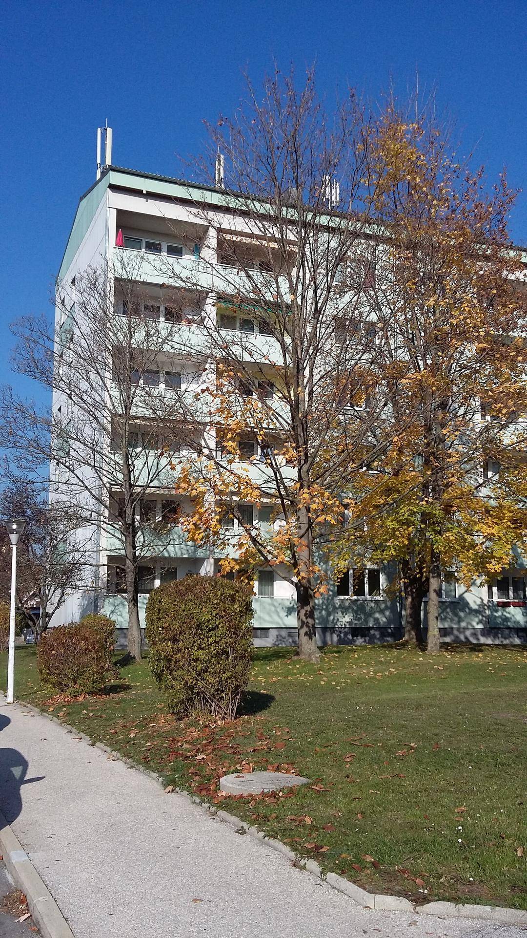 2-Zimmer-Wohnung mit Loggia, Top 16 - Ansicht 4
