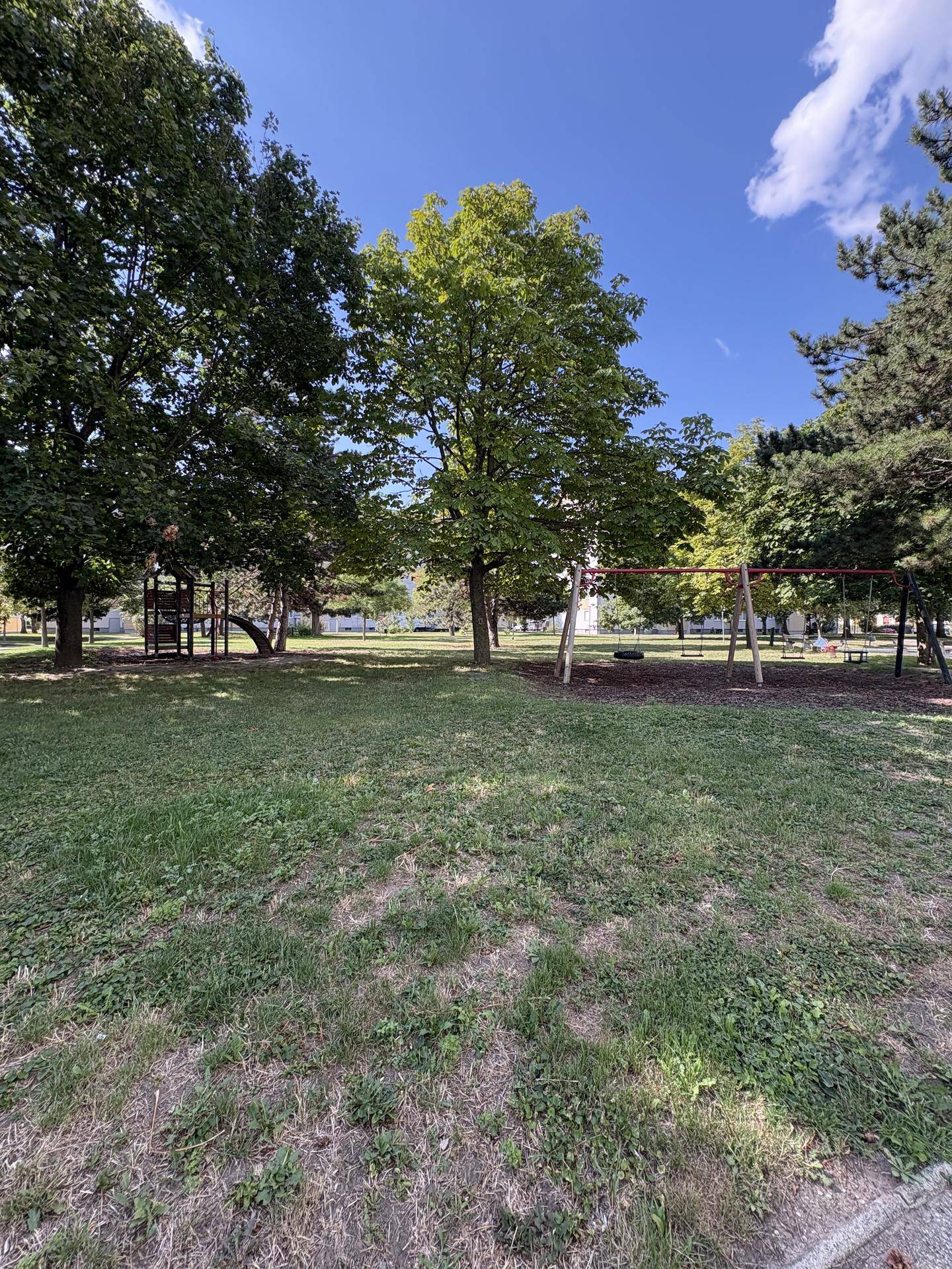 Sonniger Spielplatz mit Schaukeln und Klettergerüst in einer grünen Parkanlage.