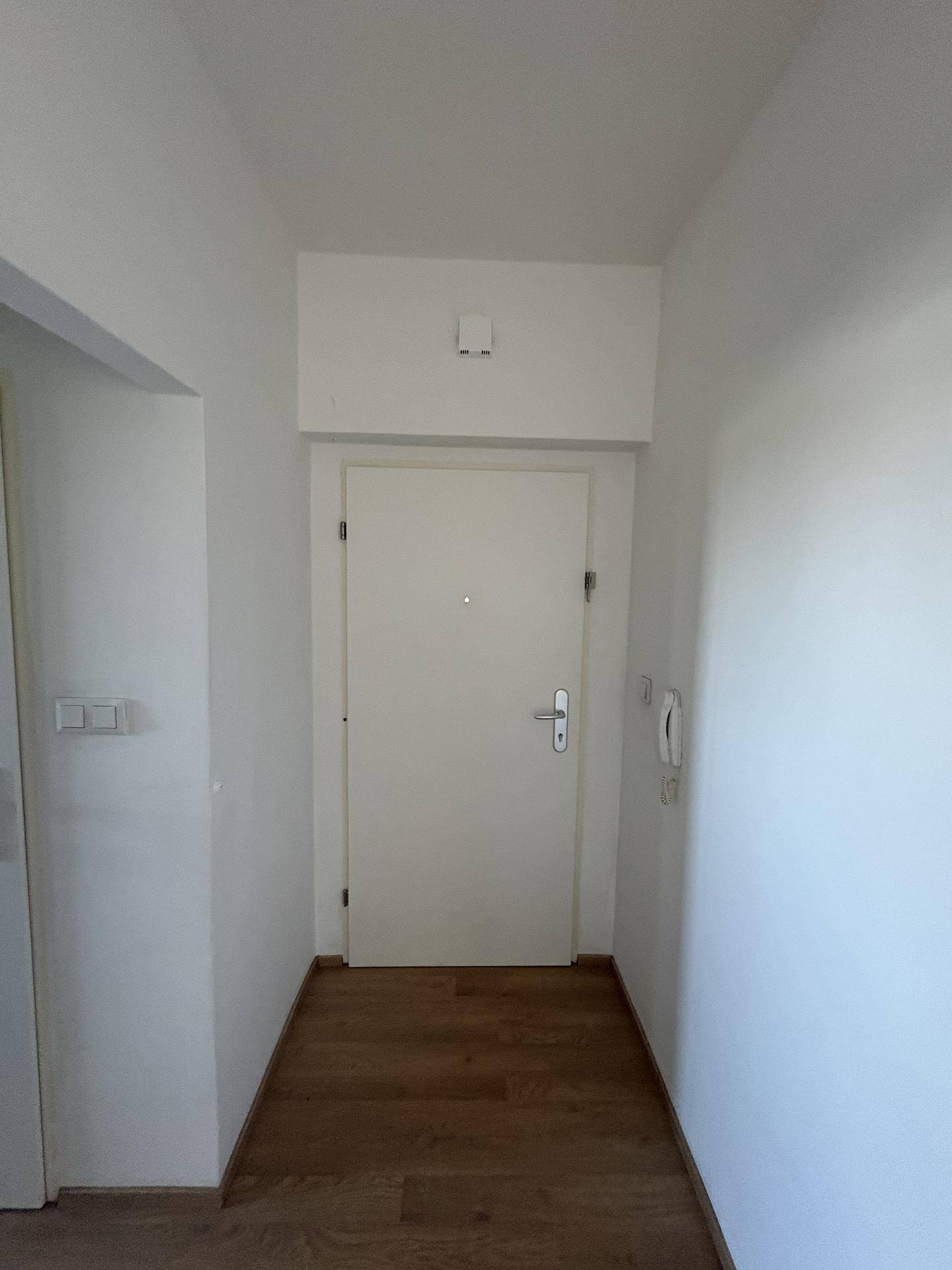 Heller Flur mit weißer Eingangstür und Laminatboden.
