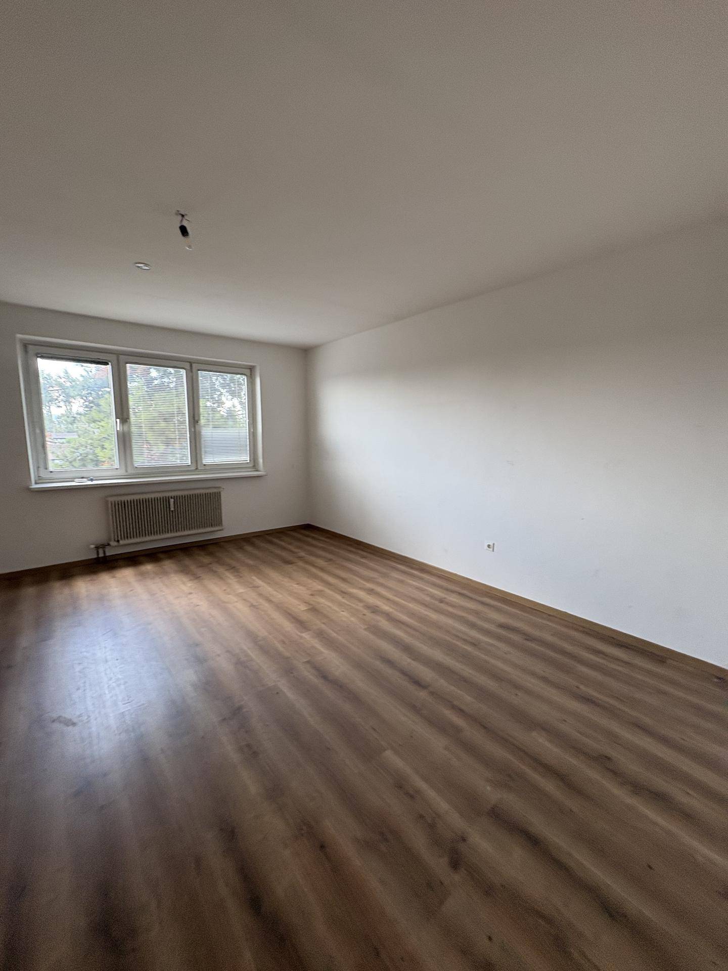 Helles, leeres Zimmer mit Laminatboden, weißen Wänden und großem Fenster für viel Licht.
