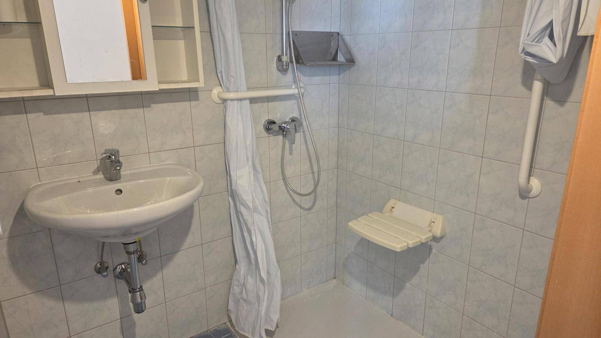 Funktionales Badezimmer mit Dusche, Waschbecken und Haltegriffen für Barrierefreiheit.