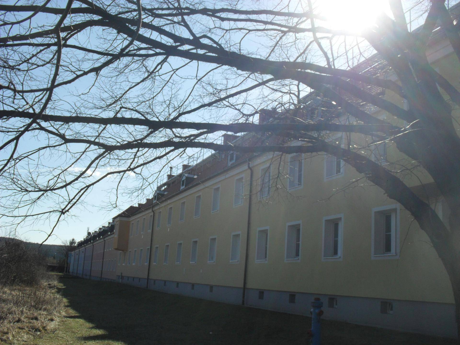 Gebäudefassade in hellem Gelb mit vielen Fenstern, umgeben von kahlen Bäumen und Sonnenschein.