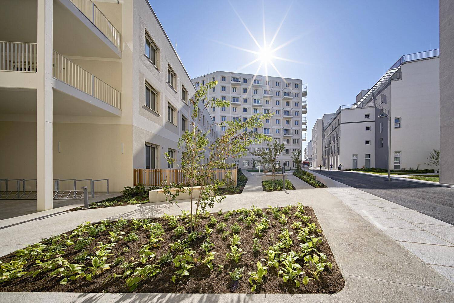 Moderne Wohngebäude mit gepflegter Außenanlage und sonnigem Himmel, die eine angenehme Atmosphäre schaffen.