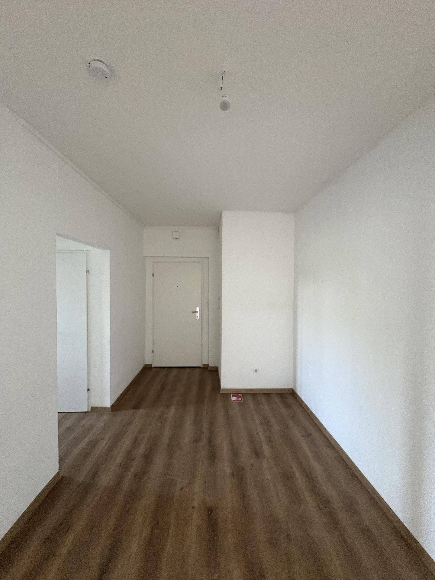 Heller Flur mit Laminatboden und weißer Eingangstür, frisch gestrichen.