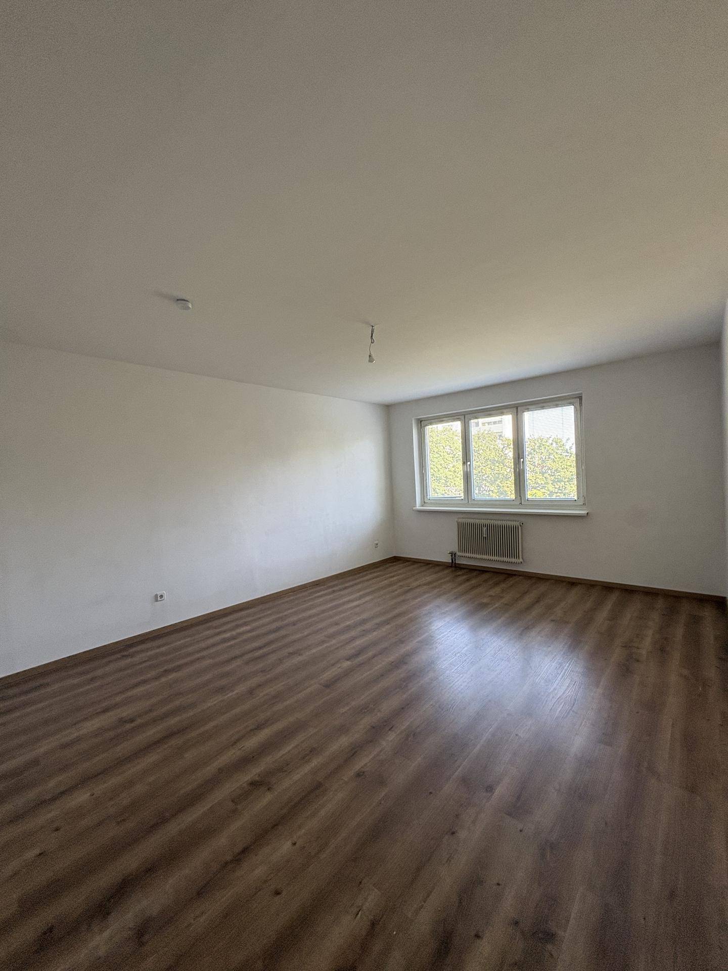 Geräumiges Zimmer mit Laminatboden und großem Fenster, das viel Tageslicht hereinlässt.