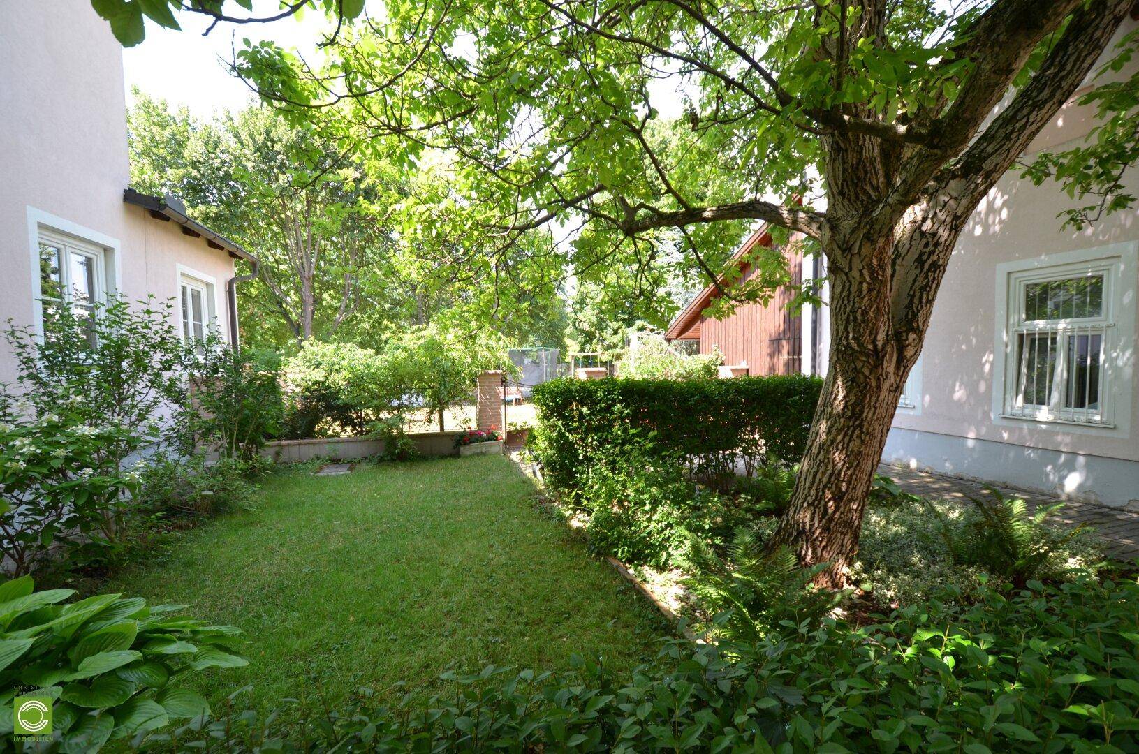 Gepflegter Gartenbereich mit Rasenfläche, altem Baumbestand und Hecken zwischen den Häusern.