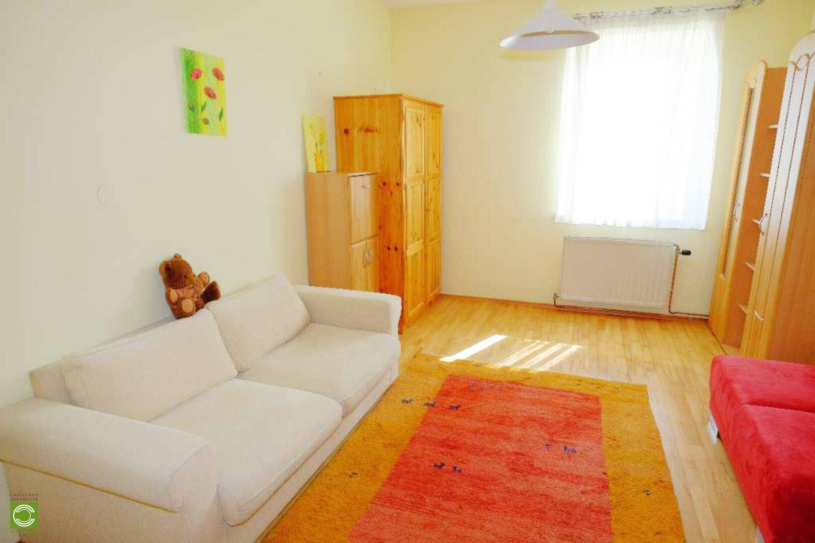 Helles Wohnzimmer mit Sofa, Holzmöbeln und Teppich, ideal für entspannte Stunden.