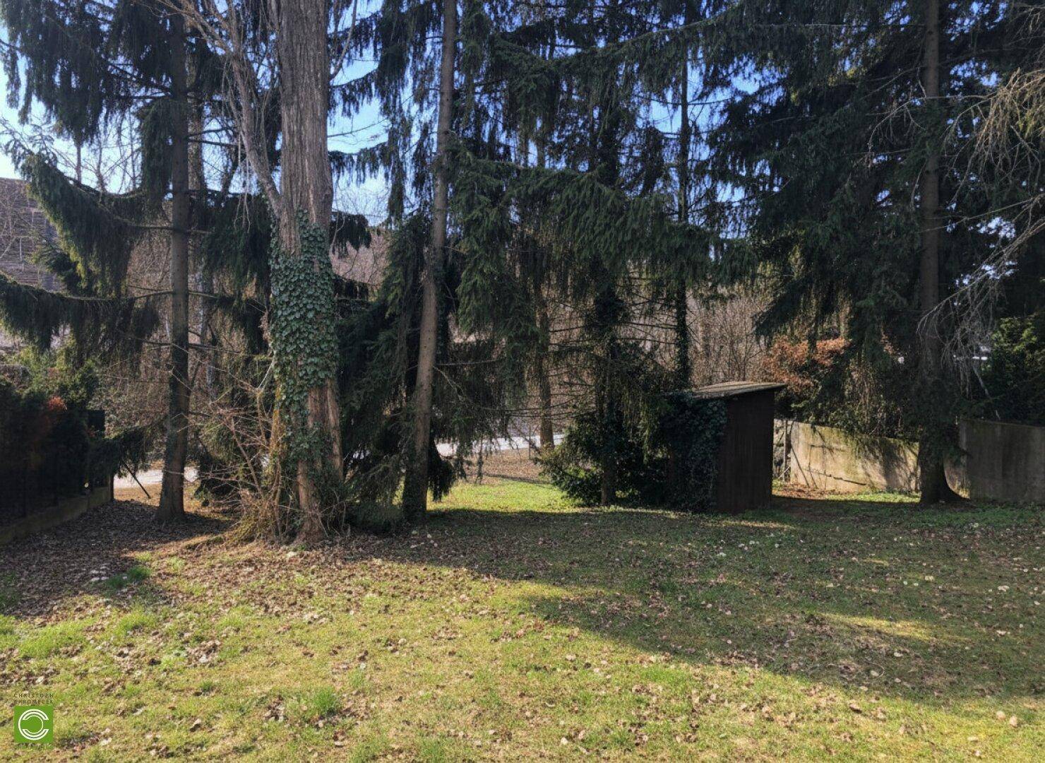 CHRISTOPH CHROMECEK IMMOBILIEN - GIESSHÜBL - Zentral gelegenes Baugrundstück! - Ansicht 5
