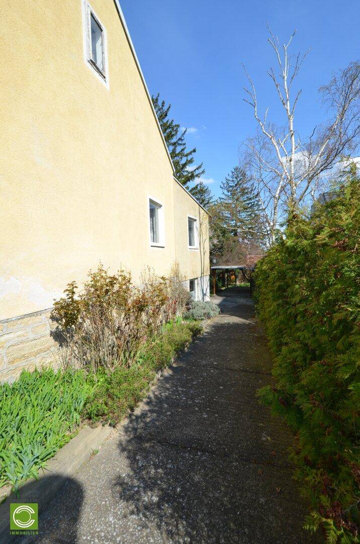 Seitenansicht des Hauses mit einem schmalen Weg und grüner Bepflanzung unter blauem Himmel.