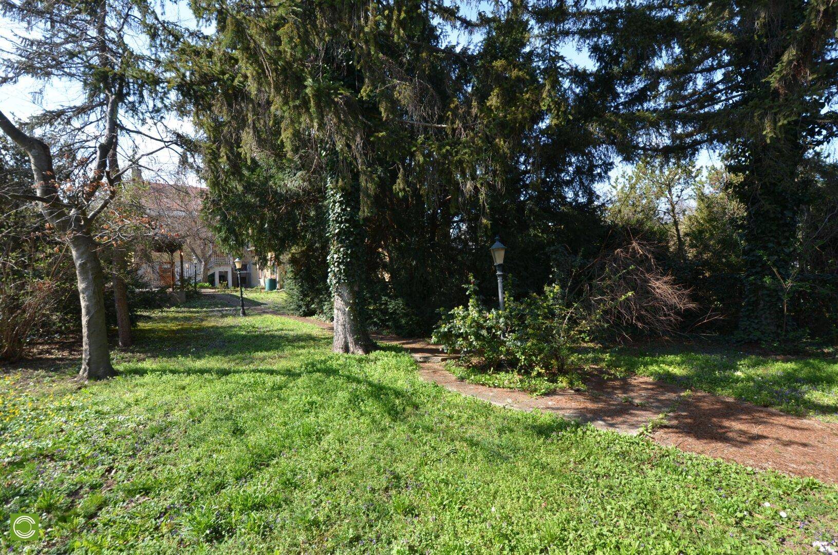 Weitläufiger, sonniger Garten mit altem Baumbestand und einem kleinen Pfad.