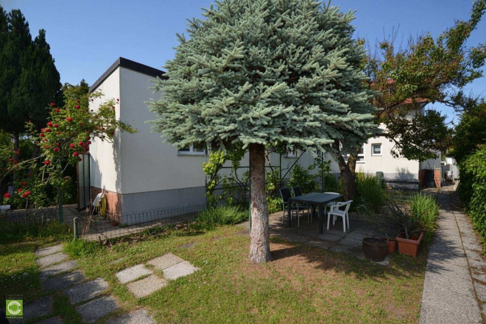 Sonniger Gartenbereich mit Rasen, Bäumen und einem kleinen Sitzplatz im Freien.