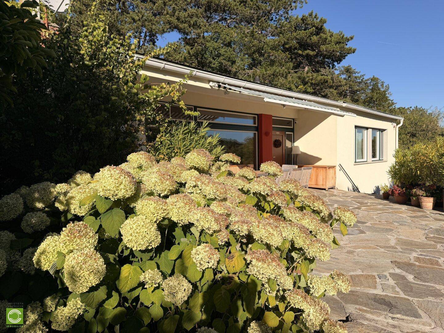 Moderne Hausfassade mit großen Fenstern und einer blühenden Hortensienhecke im Vordergrund.