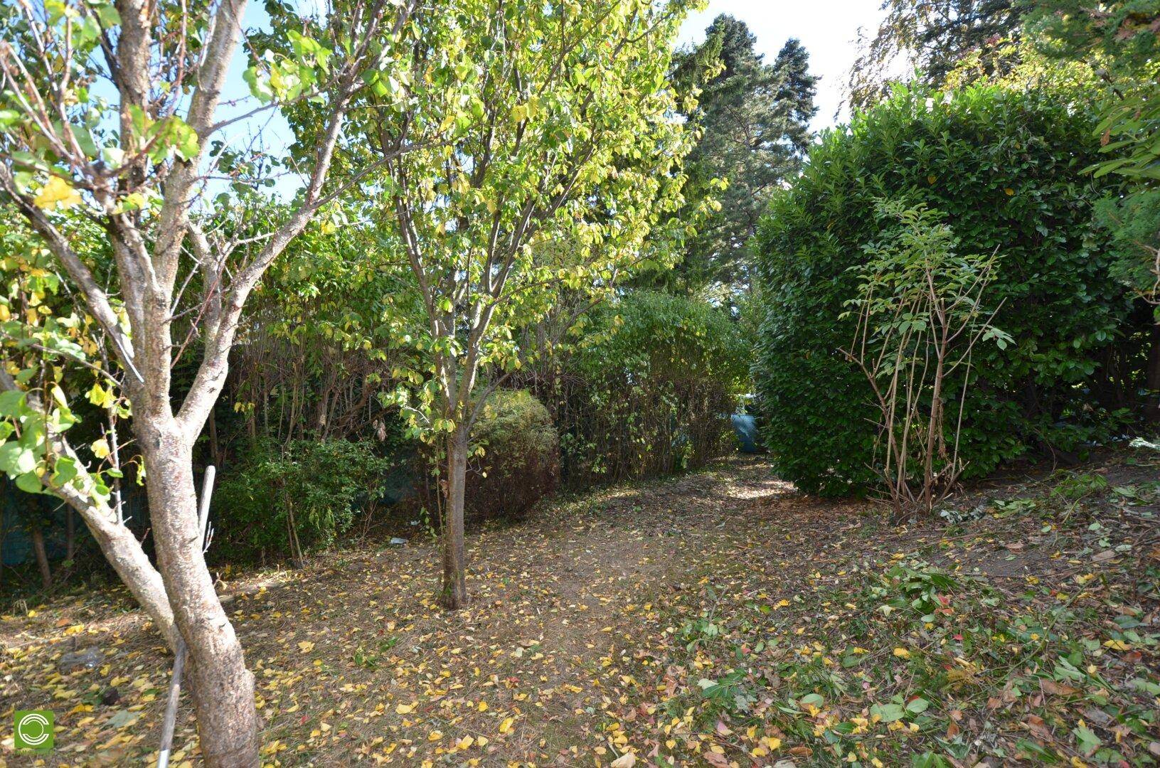 Slide 10