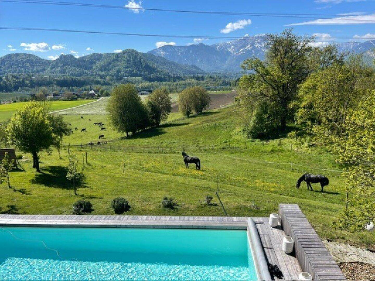 Außenpool mit Holzumrandung und Panoramablick auf grüne Weiden mit Tieren und Berge.