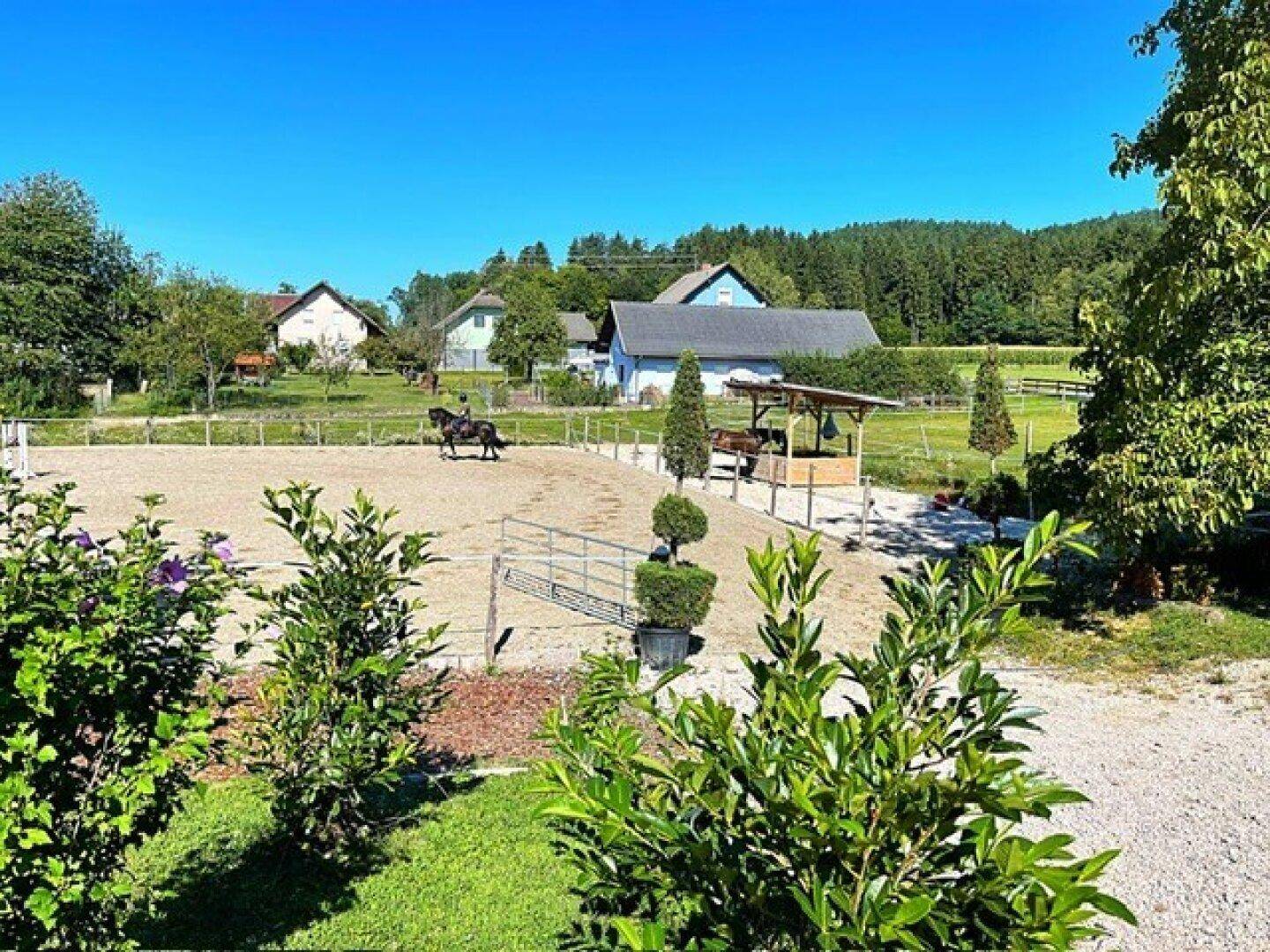 Weitläufige ländliche Außenanlage mit Reitplatz, Pferd und Häusern im Hintergrund unter blauem Himmel.