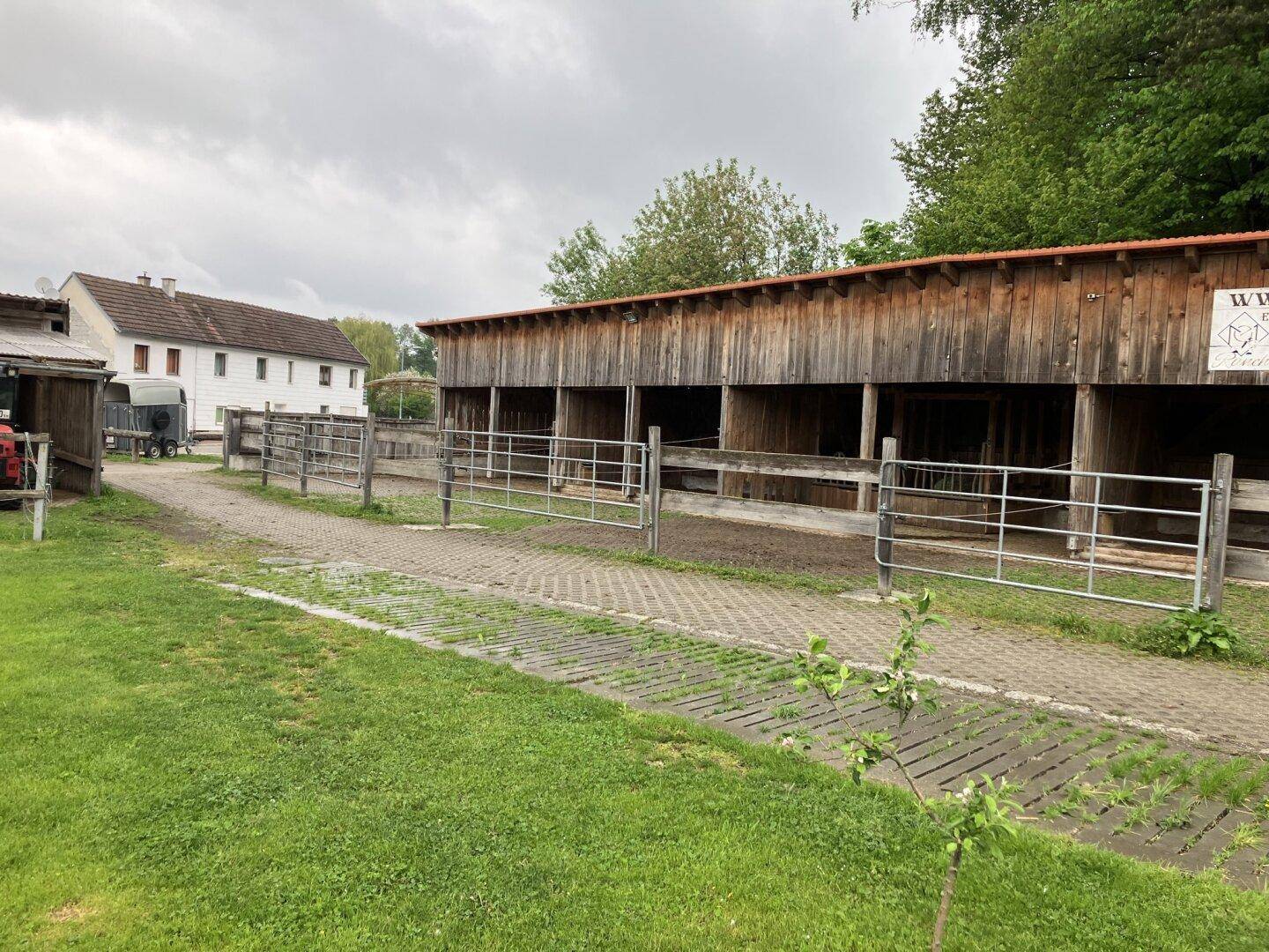 Außenansicht der Stallungen mit gepflastertem Weg und grüner Rasenfläche.