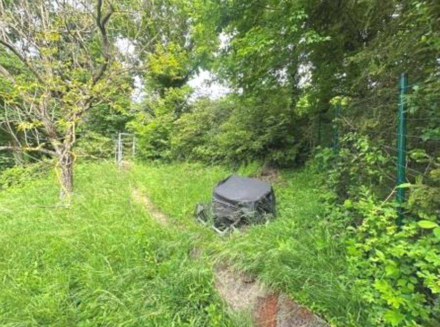 Überwuchertes Gartengrundstück mit hohen Gräsern, Bäumen und einem schwarzen Objekt in der Mitte, umgeben von Natur.