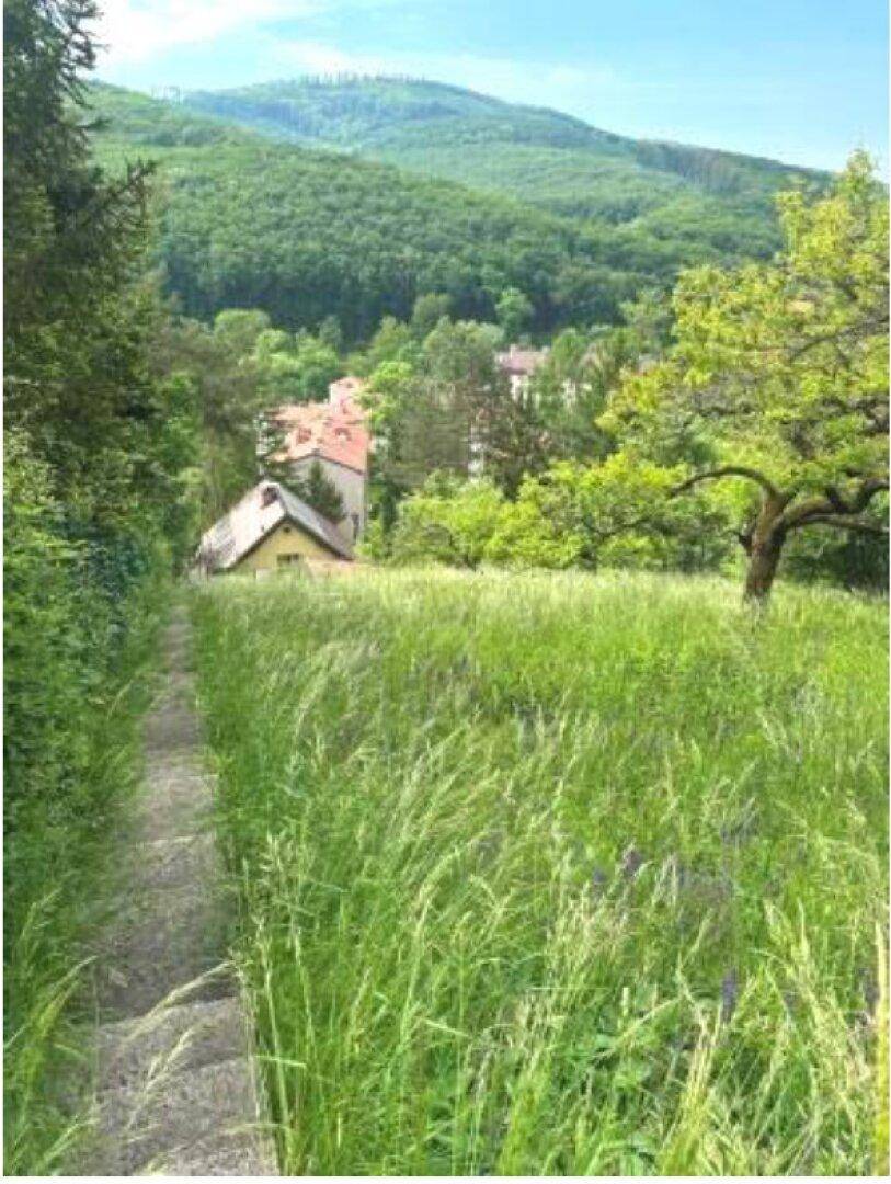 Blick von einem grasbewachsenen Hügel auf ein Haus mit rotem Dach, umgeben von Bäumen und grünen Bergen im Hintergrund.
