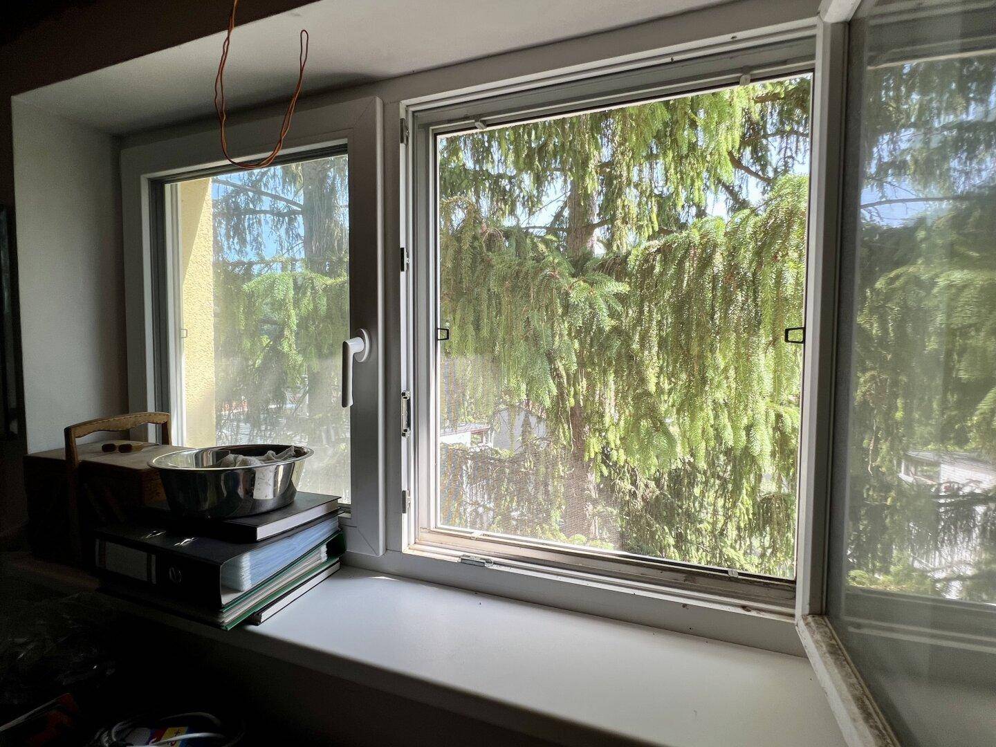 Nahaufnahme eines Fensters mit Blick auf üppig grüne Bäume im Freien.